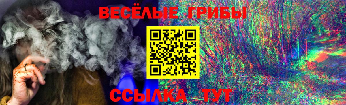 Новочебоксарск  где купить наркоту  Псилоцибиновые грибы прущие грибы  Вход с VPN  Псилоцибиновые грибы мухоморы 
